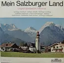 LP - Salzburger Vierklang / Franz Lichtmannegger / Salzburger Spitzbuam a.o. - Mein Salzburger Land
