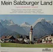 LP - Salzburger Vierklang / Franz Lichtmannegger / Salzburger Spitzbuam a.o. - Mein Salzburger Land