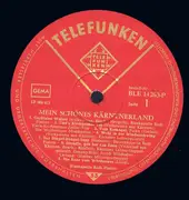 LP - Blaskapelle Rudi Platzer, Kärntner Lehrerquintett, Die Wolfsberger Musikanten a.o. - Mein Schönes Kärntner Land = My Wonderful Carinthia