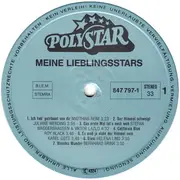 Double LP - Matthias Reim, Juliane Werding, Helena Lind - Meine Lieblingsstars - Die Erfolgreichsten Deutschen Hits 1990