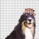 CD - Mecca Normal, Bangs, Goxxip - Mollie's Mix