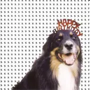 CD - Mecca Normal, Bangs, Goxxip - Mollie's Mix