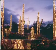 Double CD - Chuito El De Bayamón, Pepe Natal Y Su Trio Nacional a.o. - Navidad Latina - Digipak