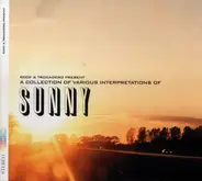 Bobby Hebb, Arthur Lyman, Georgie Fame - A Collection Of Various Interpretations Of Sunny