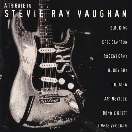 Bonnie Raitt / B.B. King / Buddy Guy a.o. - A Tribute To Stevie Ray Vaughan