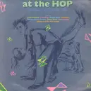 LP - Little Richard, Buddy Knox, Duane Eddy a.o. - At The Hop - 16 Smash Hits Of The 50's