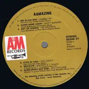 LP - Humble Pie, Scott McKenzie, a.o. - Amazing