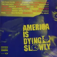 Various - America Is Dying Slowly