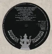 LP - Shadows Of Knight, Mark a.o. - Buddah´s Pop Explosion