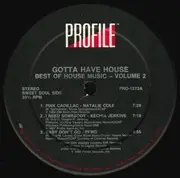 Double LP - Natalie Cole, Kraze, a.o. - Best Of House Music Volume 2 - Gotta Have House