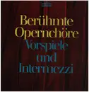 Double LP - Wagner / Leoncavallo / Mascagni / Smetana a.o. - Berühmte Opernchöre Vorspiele und Intermezzi 2 LP