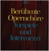 Double LP - Wagner / Leoncavallo / Mascagni / Smetana a.o. - Berühmte Opernchöre Vorspiele und Intermezzi 2 LP