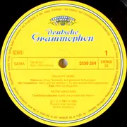 Double LP - Verdi / Weber / Puccini / Wagner / Bizet a.o. - Berühmte Opernchöre - Hardcover Box + Inlay