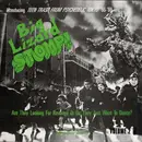 LP - Garage Psychedelic Rock Sampler - Big Lizard Stomp!: Volume Two - 0843 of 1500/Green vinyl