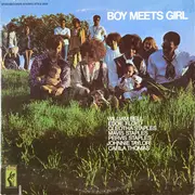 Double LP - Various - Boy Meets Girl