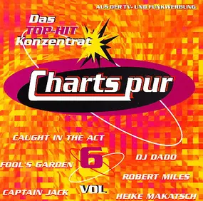 Various Artists - Charts Pur Vol. 6