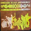 Double LP - John Brim, Jimmy Rogers a.o. - Chicago Blues Anthology