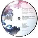 2 x 12inch Vinyl Single - Northern Lights, Peshay, a.o. - Club Sessions Vol.4 Part 2