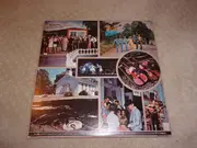 Double LP - Dave Dudley / George Jones / Buck Owens / a.o. - Country Music Hall Of Fame    Volume 8