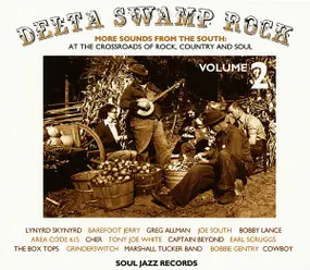 Various Artists - Delta Swamp Rock 2