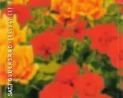 CD - Patrick Lindner, David Hasselhoff, Nicole - Die Deutsche Hitparade 4