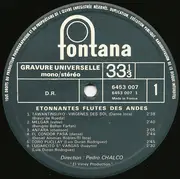 LP - Etonnantes Flutes Des Andes - Etonnantes Flutes Des Andes