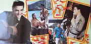 LP - Gus Backus, Ted Herold, Peter Kraus, Harry Glück u.a. - Elvis Hits in Deutsch, Folge 2