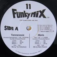 Arrested Development / Mary J. Blige a.o. - Funkymix 11