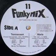 Arrested Development / Mary J. Blige a.o. - Funkymix 11