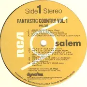LP - Country Sampler - Fantastic Country Vol. 1