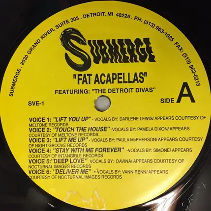 Darlene Lewis / Pamela Dixon / Davina a.o. - Fat Acapellas - Featuring : The Detroit Divas