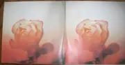 Double LP - Various - Festliches Sonntagskonzert (Berühmte Melodien - Große Interpreten)