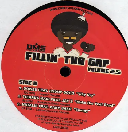 Various - Fillin' Tha Gap Volume 25
