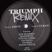 12inch Vinyl Single - Beanie Sigel, Raekwon, Joe Budden a.o. - Flatline (Remix) / Triumph (Remix)