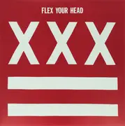 LP - The Teen Idles, Untouchables, Minor Threat - Flex Your Head