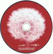 CD - Victor Davies, Otto Lamani, a.o. - Folky Acoustic Music In Digital Times