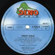 Double LP - Joyce Sims, Latoya Jackson, Sabrina, u.a. - Fresh Girls