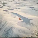 Double LP - Händel, Haydn, Brüggen a.o. - Frohe Weihnacht '79 Glückliches Neujahr '80 Wünscht Ihnen Teldec