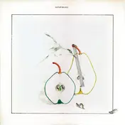 Henry Kaiser - Guitar Solos 3