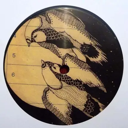 Duijn & Douglas, Campati & Esther Duijn - GEOGRAPHY 003