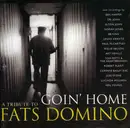 Double CD - John Lennon, Tom Petty & The Heartbreakers, Elton John, a.o. - Goin' Home  A Tribute To Fats Domino