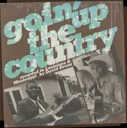 Roosevelt Holts / Isaiah Chattman a.o. - Goin' Up The Country