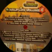 Ragga Hip Hop Sampler - Half-Life Volume 4