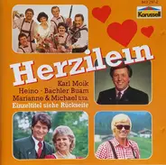 Party Service Band, Bachler Buam, Heino - Herzilein