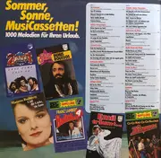 Double LP - Ricky Costa's Beach Company - Hit-Sommer '80 (99 Sommer-Sonnen-Urlaubs-Hits)