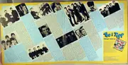 Double LP - Cliff Richard, The Shadows a.o. - Hitlåtarna Från Radioprogrammet Tio I Topp Vol. 2