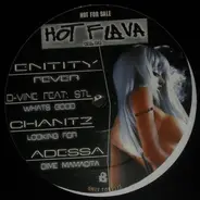 Adessa, Chantz, Entity, a.o. - Hot Flava Vol. 04