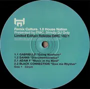 12inch Vinyl Single - Gabrielle, Danii, Adam F - House Nation 182