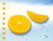 Double CD - Eiffel 65 / Ann Lee - Italo Fresh Hits 2000