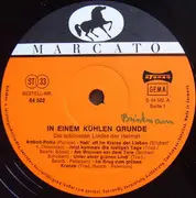 Double LP - In Einem Kühlen Grunde - Die Schönsten Lieder Der Heimat